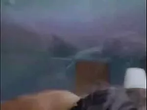 Լավագույն որակի վերա ...