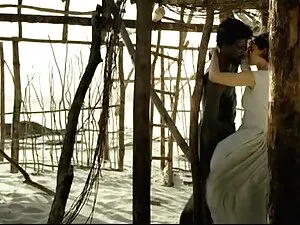 Տրանսվեստիտ եւ անվճա ...