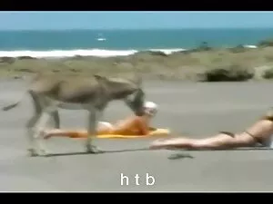 Քիմը եւ Կիմ Մեգա Էքս ...