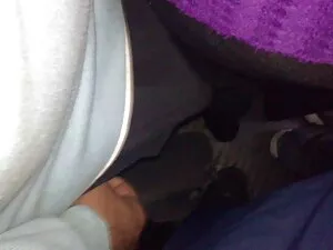 Խելոք դեռահասներ հար ...