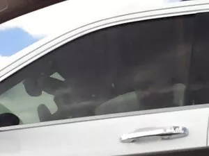 Ռեբեկա Վոլպետի-խաղալ ...